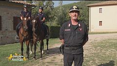 Alla scoperta del Centro di selezione equestre del Reparto Carabinieri Biodiversità di Follonica