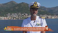 Gli angeli del mare