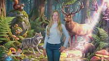 Stella's World: l'inquinamento acustico