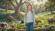 Gli animali del bosco