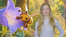 Stella's World