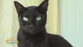 Otis