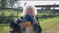 Collins, Tigre e Lupo i figli pelosi di Donatella Rettore
