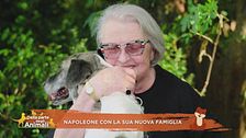 Napoleone con la sua nuova famiglia