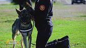Un compleanno speciale per l'Arma