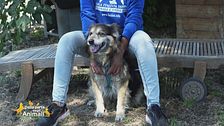 Rocco cerca casa