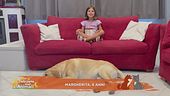 Le domande dei bambini