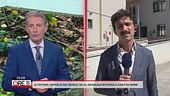 Famiglia nel bosco, ok al graduale ritorno a casa dei bimbi