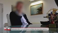 Garlasco, Coli: "Il dna di Chiara sui pedali era una cosa anomala"