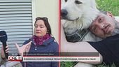 Mirandola: marito e moglie trovati morti in casa