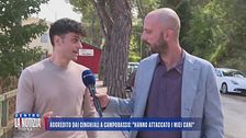 Aggredito dai cinghiali a Campobasso: "Hanno attaccato i miei cani"
