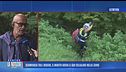 Va a cercare funghi con il marito, il giallo della scomparsa di Maria