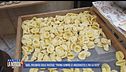 Bari, polemica sulle pastaie: "Prima compri le orecchiette e poi la foto"