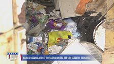 Maria l'accumulatrice, viveva prigioniera tra cibi scaduti e ragnatele