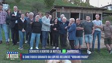 Il cane Fiocco sbranato dai lupi nel bellunese: "Abbiamo paura"
