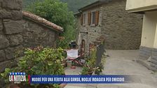 Muore per una ferita alla gamba, moglie indagata per omicidio