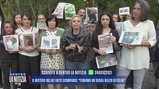 Il mistero dei 107 gatti scomparsi: "Temiamo un serial killer di felini"