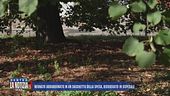 Neonato abbandonato in un sacchetto della spesa, ricoverato in ospedale