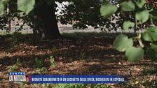 Neonato abbandonato in un sacchetto della spesa, ricoverato in ospedale