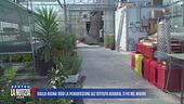 Giallo ricina: oggi la perquisizione all'istituto agrario, 71 pc nel mirino