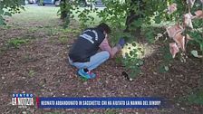 Neonato abbandonato in sacchetto: chi ha aiutato la mamma del bimbo?