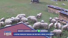 Il pastore fuorilegge: le parole dei compaesani