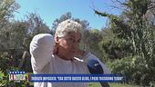 Trovata impiccata: "Era sotto questo ulivo, i piedi toccavano terra"