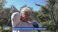 Trovata impiccata: "Era sotto questo ulivo, i piedi toccavano terra"