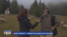 Il pastore "fuorilegge": "Andrò via quando finirà l'erba per le pecore"