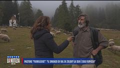 Il pastore "fuorilegge": "Andrò via quando finirà l'erba per le pecore"