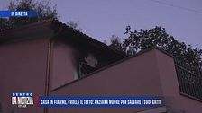 Casa in fiamme, crolla il tetto: anziana muore per salvare i suoi gatti