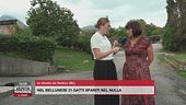 Nel bellunese 21 gatti spariti nel nulla