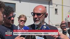 Famiglia del bosco, parla l'avvocato Simone Pillon