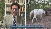 Famiglia nel bosco, parla l'avvocato dell'assistente sociale