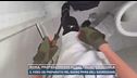 Roma, professoressa accoltellata a scuola