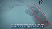 Garlasco, ultimo giorno per deposito documenti della difesa Sempio