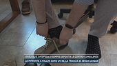 Garlasco, la difesa di Sempio deposita le contro-consulenze