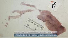 Garlasco, la traccia 33 e la centralità nelle indagini