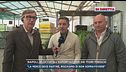 Napoli, bloccata l'esportazione dei fiori freschi