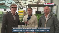 Napoli, bloccata l'esportazione dei fiori freschi