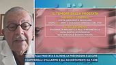 Tumore alla prostata e al rene, la prevenzione e le cure