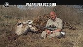 CORTI: Pagare per uccidere