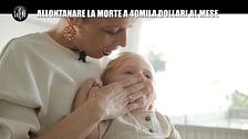 PECORARO: Allontanare la morte a 40mila dollari al mese