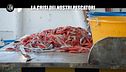 GOLIA: La crisi dei nostri pescatori