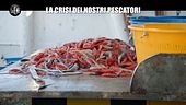 GOLIA: La crisi dei nostri pescatori