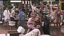 La Jungle Dance interrompe il pranzo