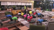 Inizia l'allenamento dei VIP
