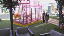 VIP in gabbia: arriva la Voliera