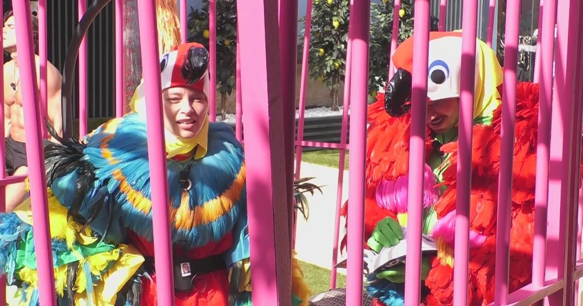 Grande Fratello VIP: L'ingresso di Danto e Giulia in Voliera Video ...