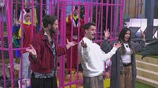 Prove dalla gabbia per Giulia e Danto